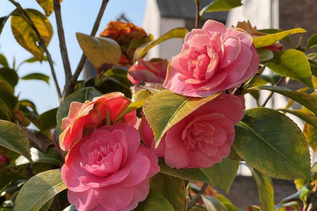 Photo of Others in Durham