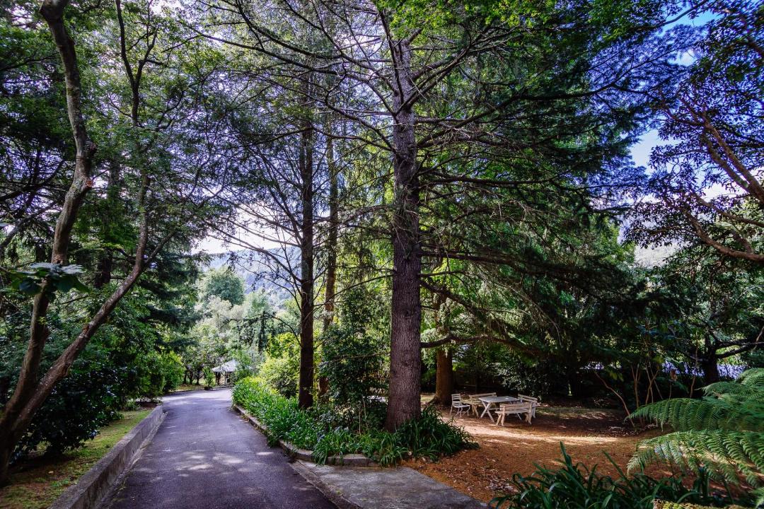 Photo of Others in Warburton