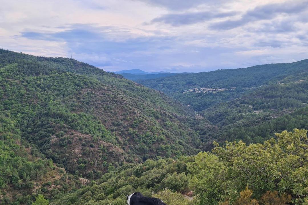 Photo of Others in Saint-Germain-de-Calberte