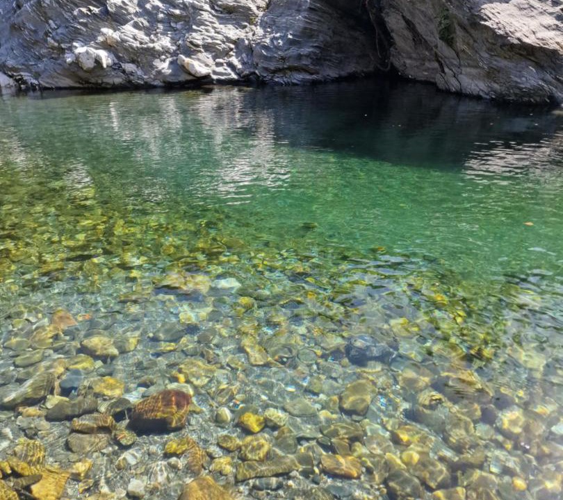 Photo of Others in Saint-Germain-de-Calberte