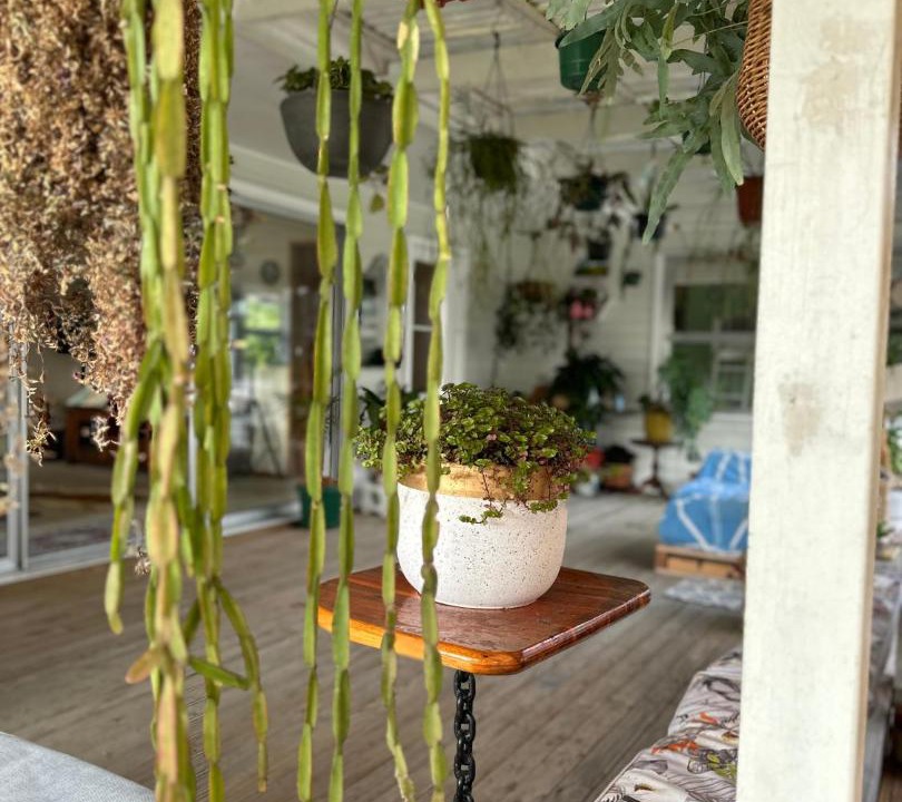 Photo of Others in Sunnyhills