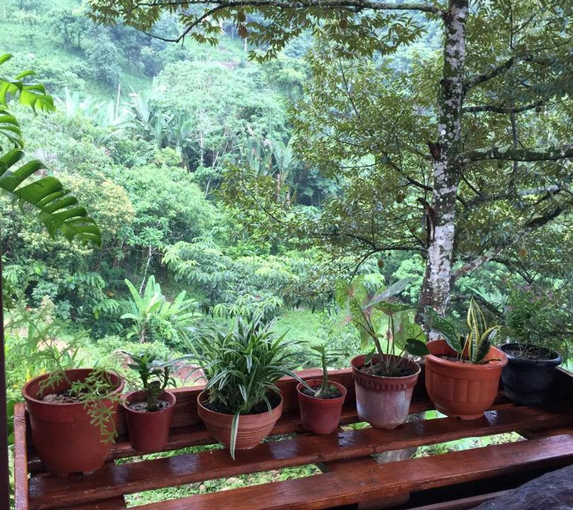 Photo of Others in Seremban