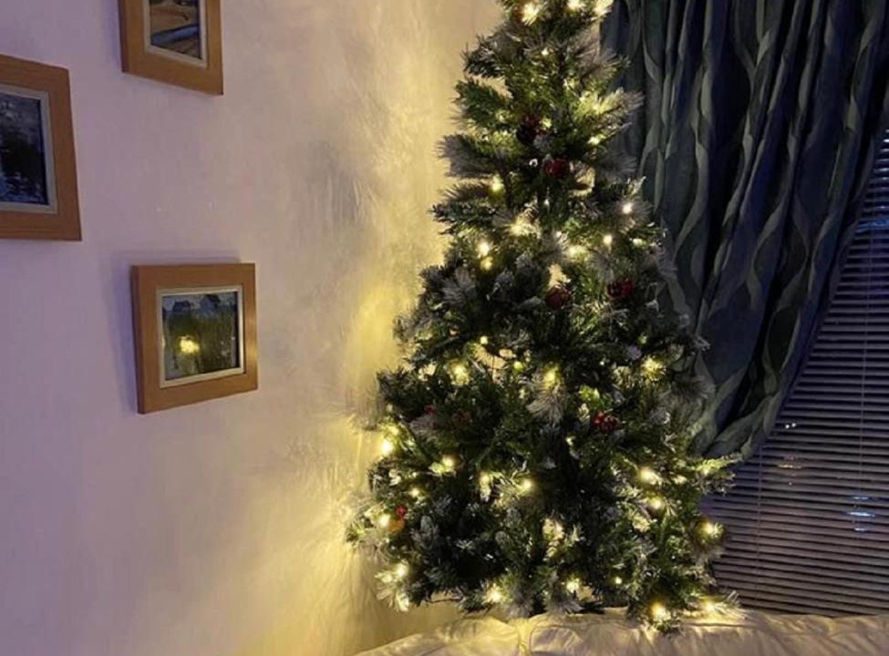 Photo of Others in Saint Columb Major