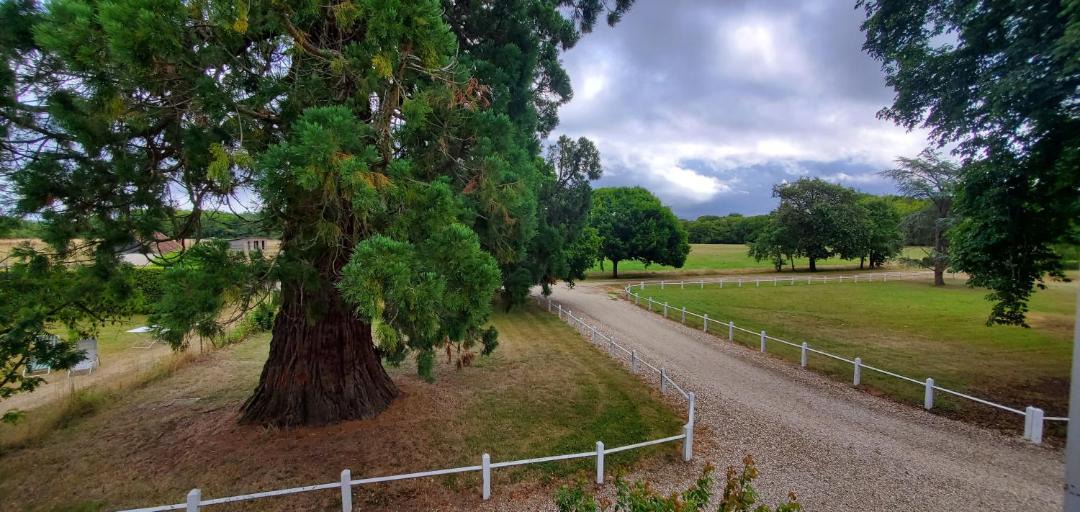 Photo of Others in Velles