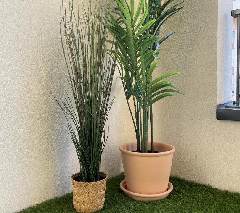 Photo of Others in Laxou