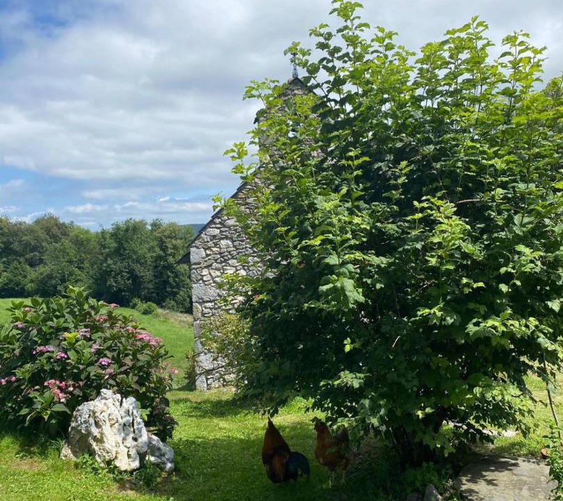 Photo of Outdoor in Nistos