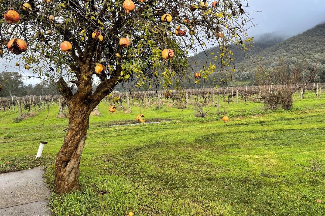 Photo of Others in Edi