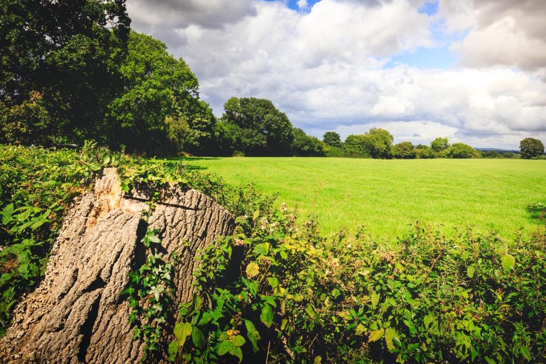 Photo of Others in Cymau