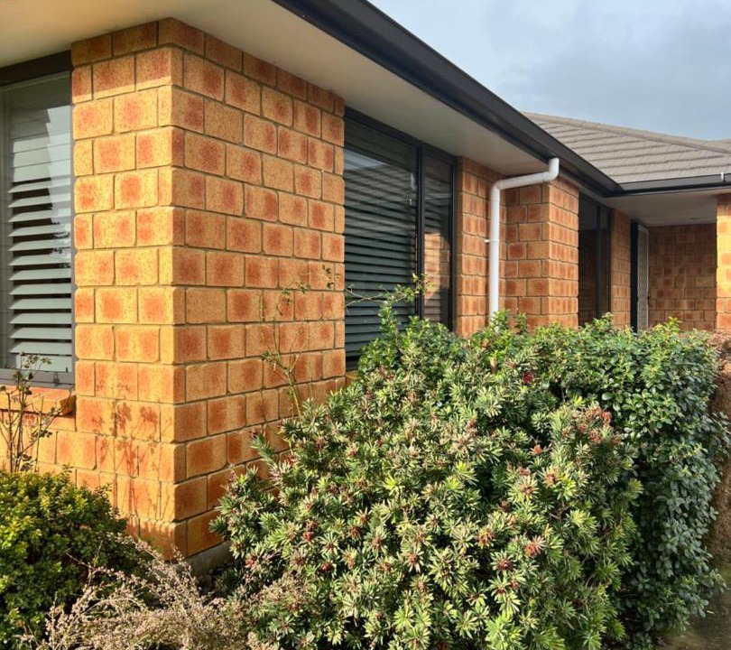 Photo of Others in Matamata