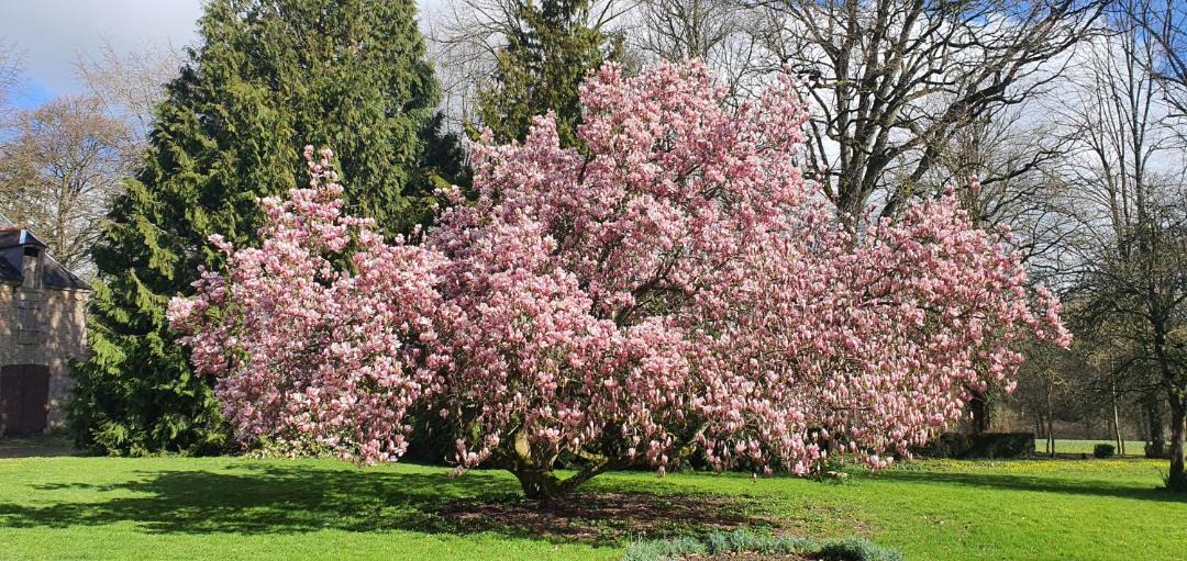 Photo of Others in Quevert