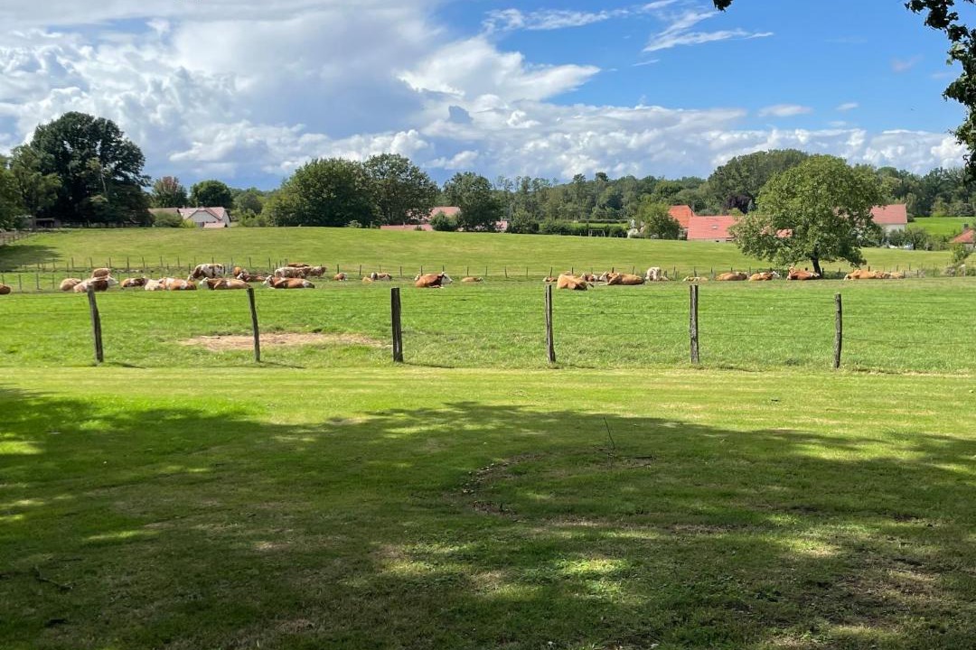 Photo of Others in Souvans