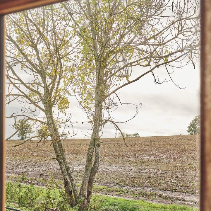 Photo of Others in Pembridge