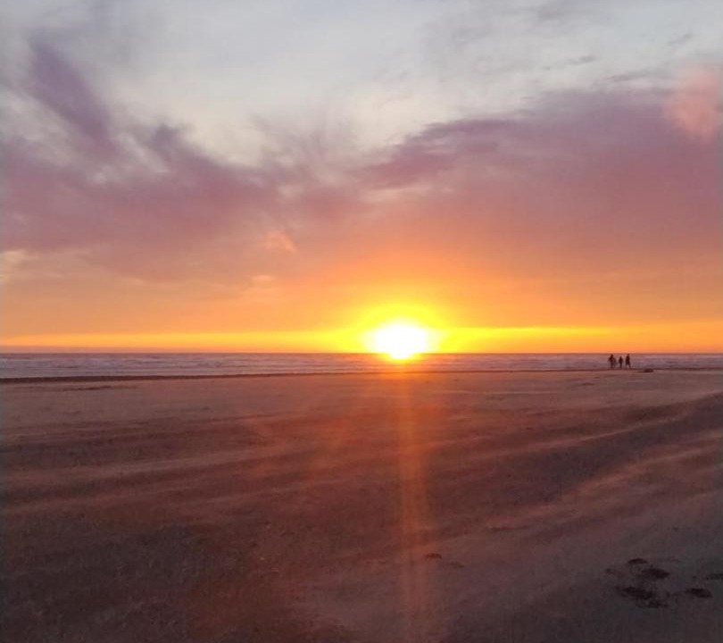 Photo of Others in Ocean Shores