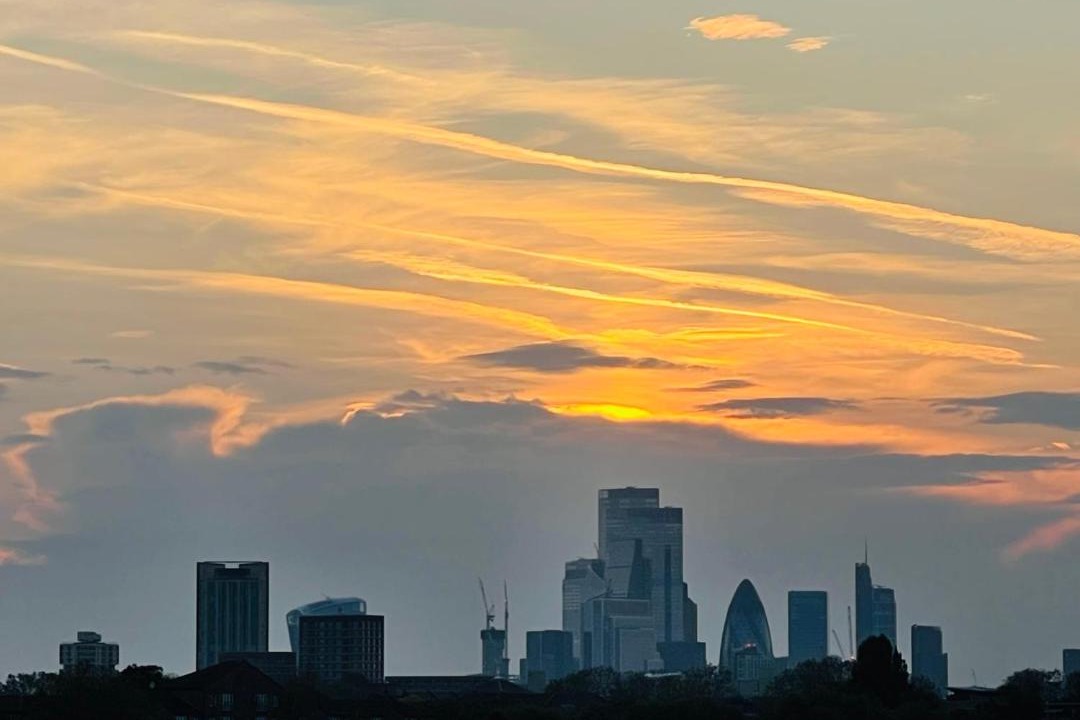 Photo of Others in Island Gardens