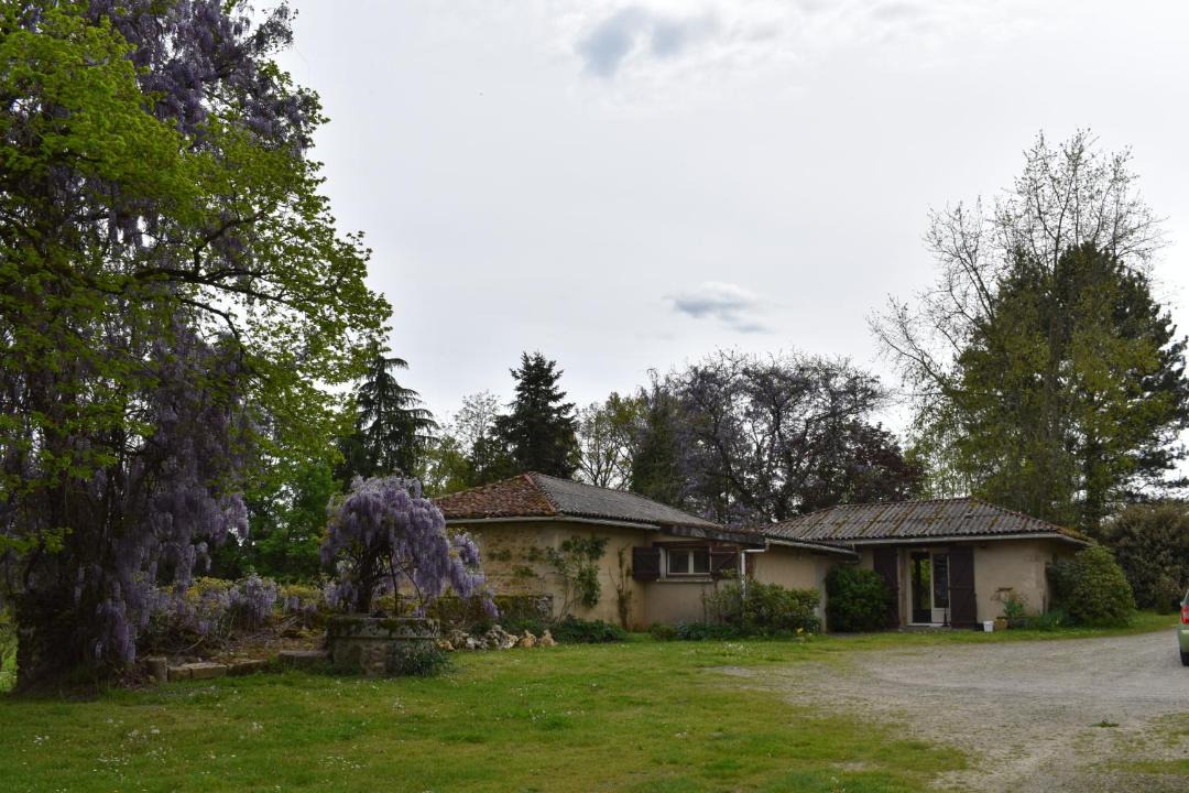 Photo of Others in Saint-Junien