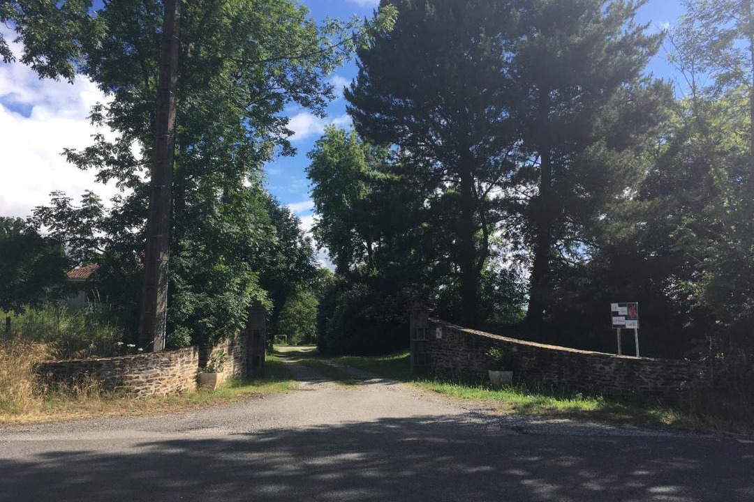 Photo of Others in Saint-Junien