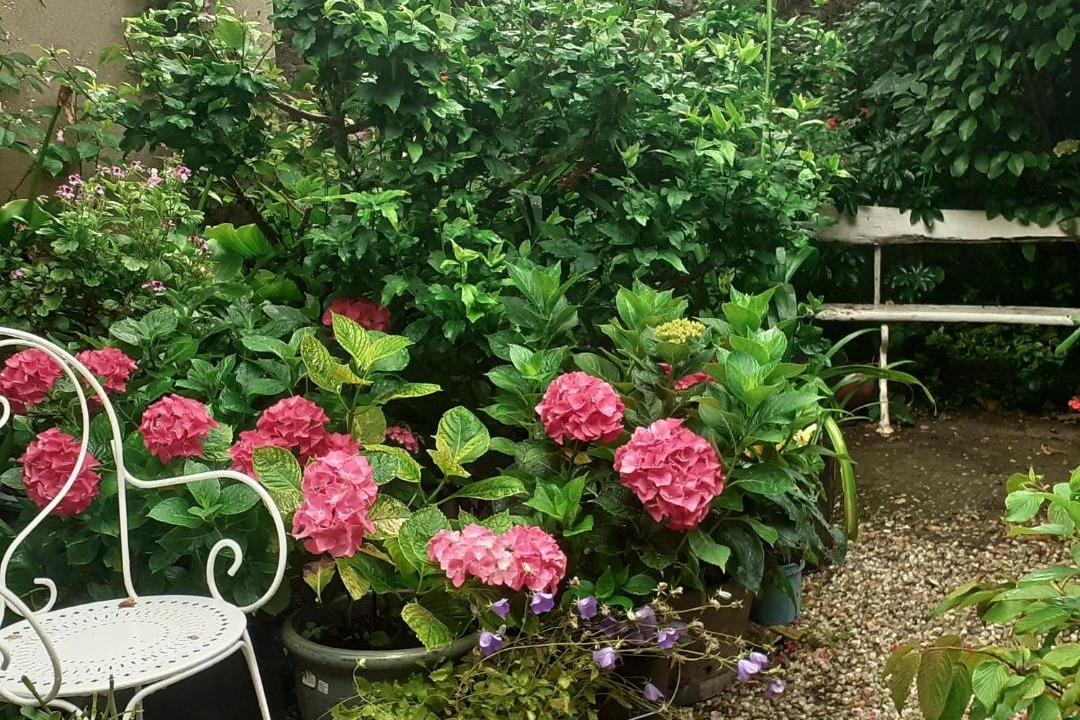 Photo of Others in Asnelles