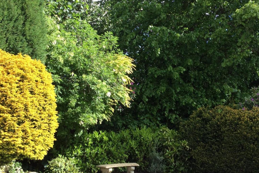 Photo of Others in Lathom