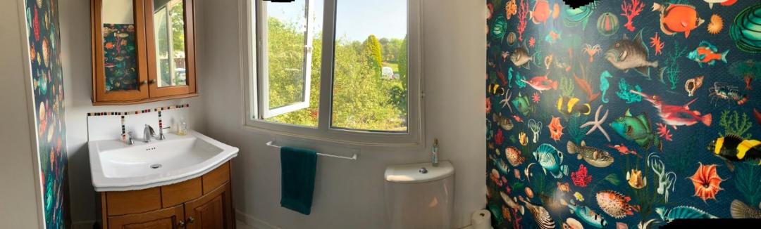 Photo of Bathroom in Helford Passage