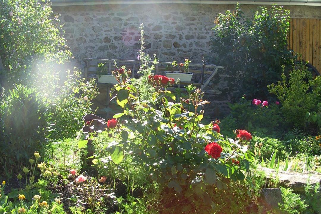 Photo of Others in Saint-Georges-en-Couzan