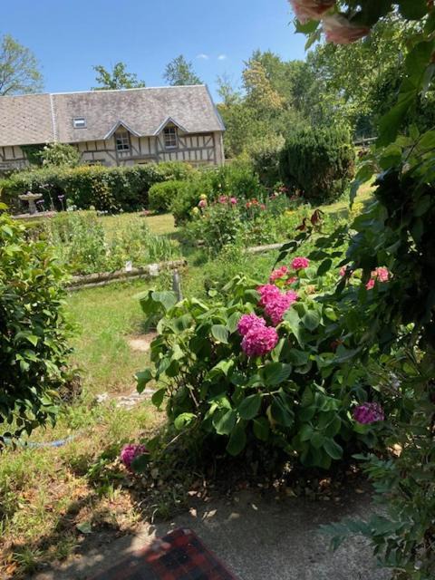 Photo of Others in Brehal