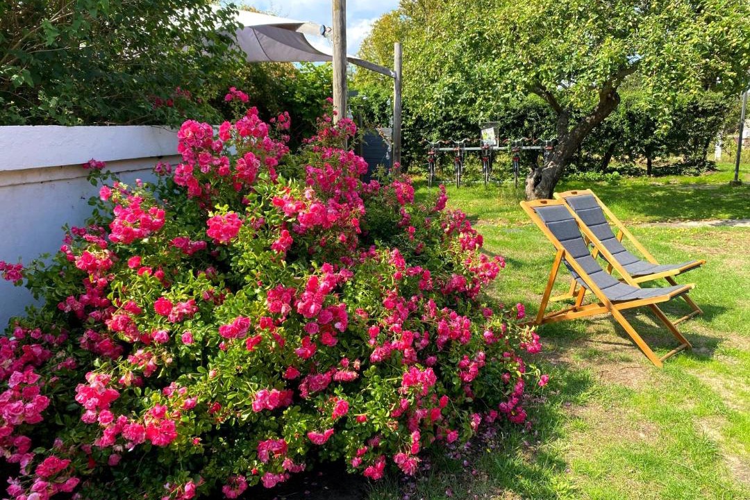 Photo of Others in Liseleje