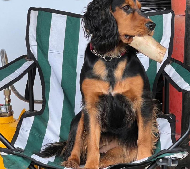 Photo of Others in West Buckland