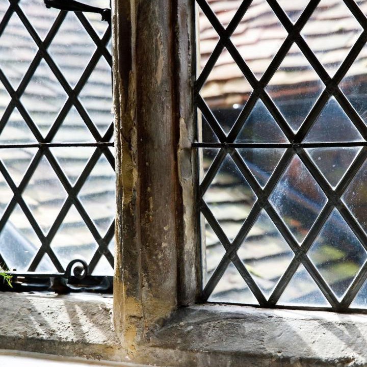 Photo of Others in Ditchling