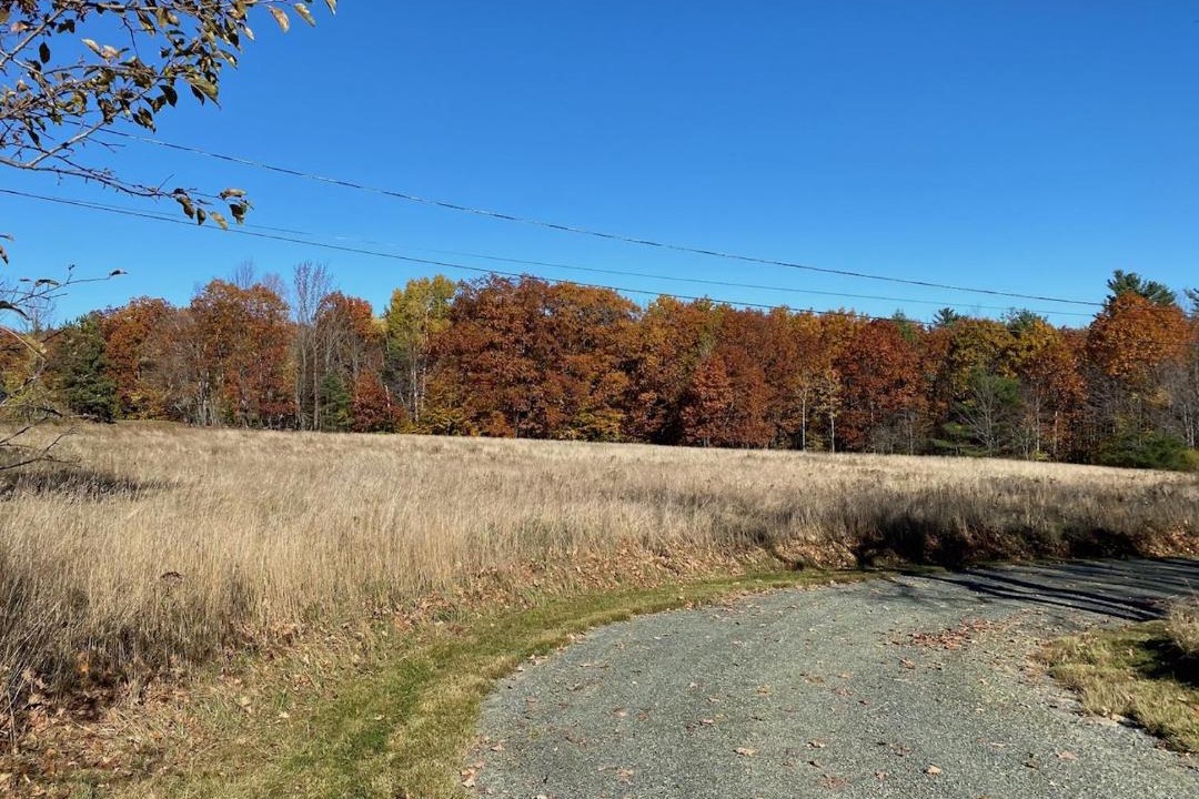 Photo of Others in Canaan