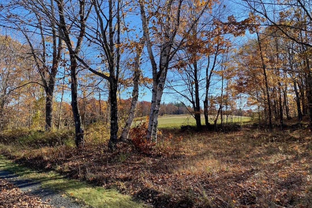 Photo of Others in Canaan