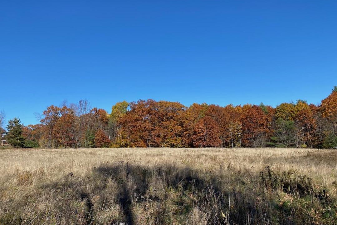 Photo of Others in Canaan