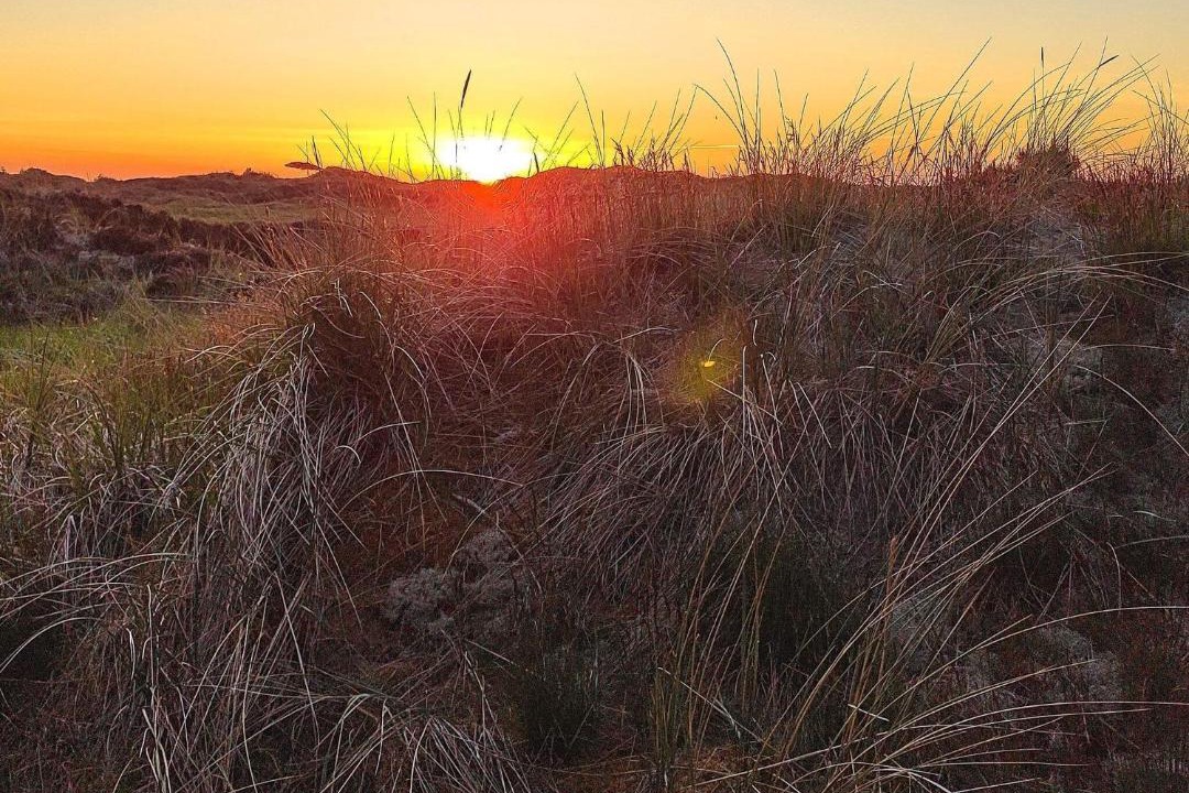 Photo of Others in Rødhus