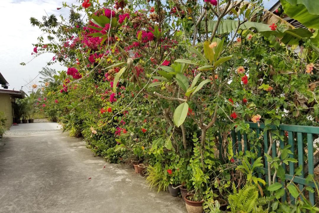 Photo of Others in Kampung Kedawang