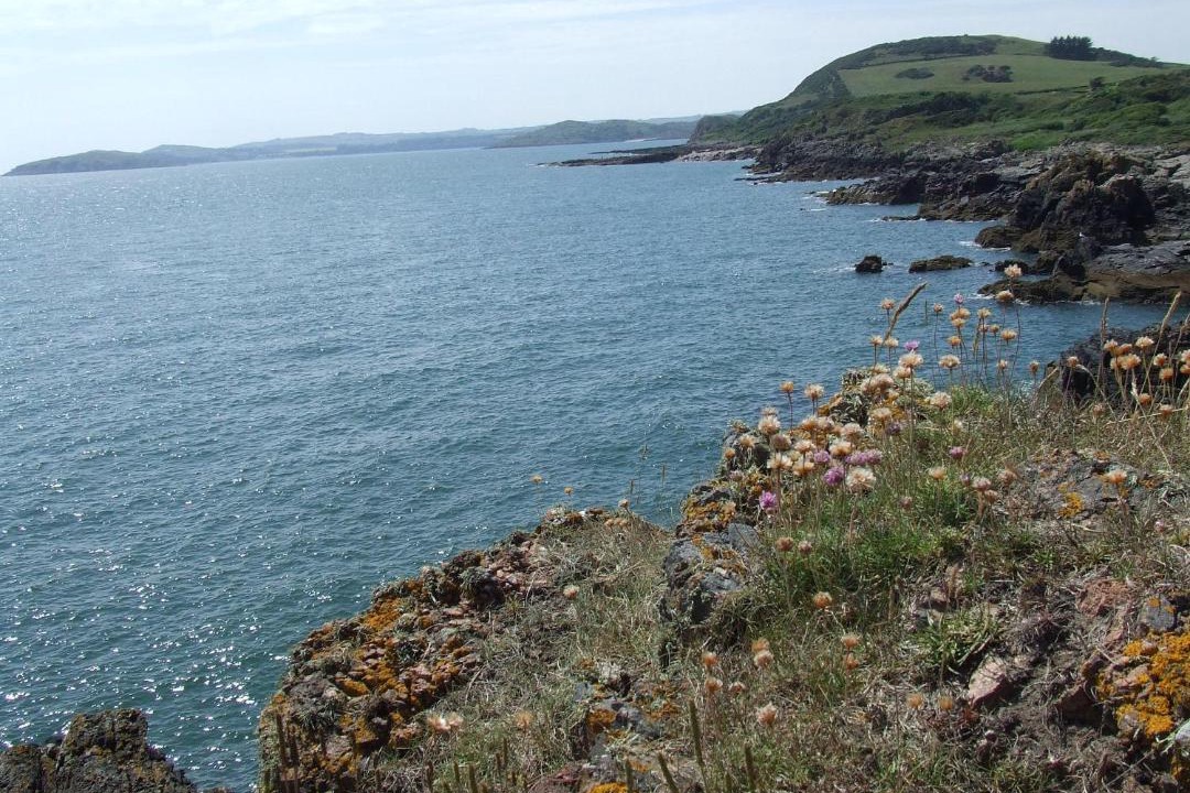 Photo of Others in Rockcliffe