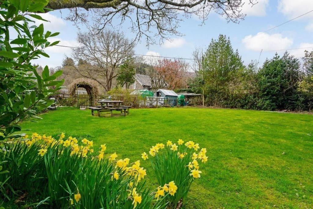 Photo of Buildings in St Fillans
