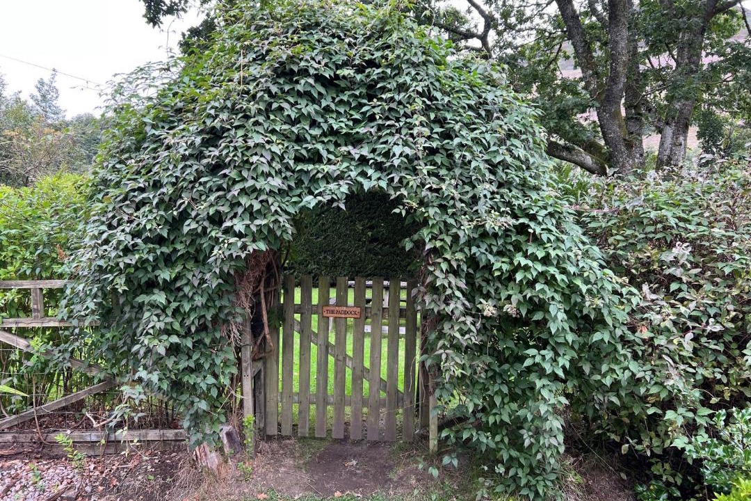 Photo of Others in St Fillans