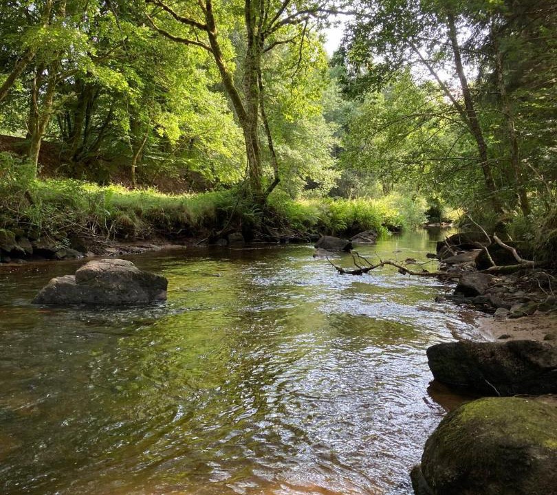 Photo of Others in Combressol