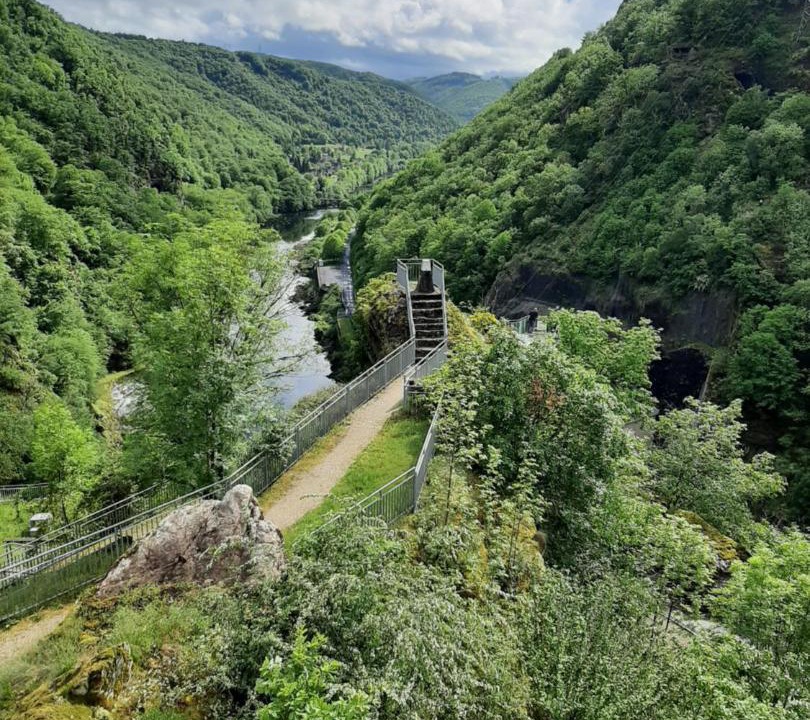 Photo of Others in Combressol