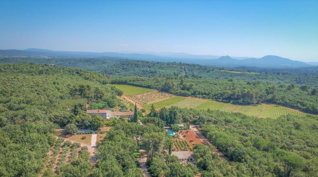 Photo of Others in Saint-Maximin-la-Sainte-Baume