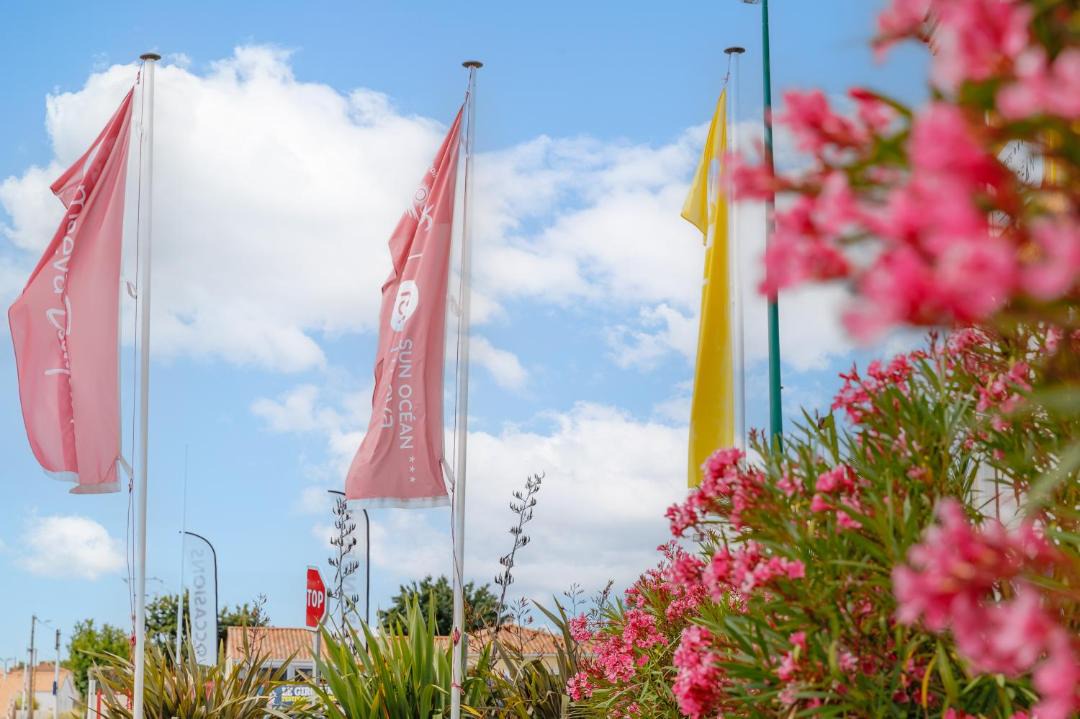 Photo of Outdoor in Talmont-Saint-Hilaire