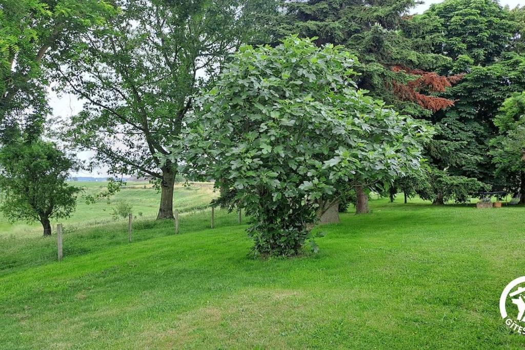 Photo of Others in Andouque