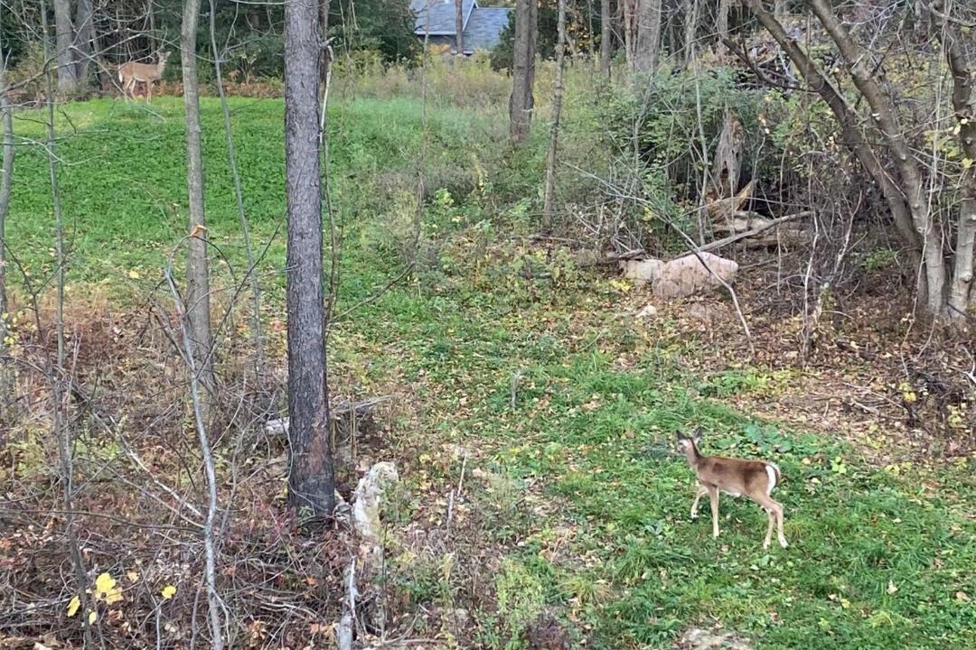 Photo of Outdoor in Rockport