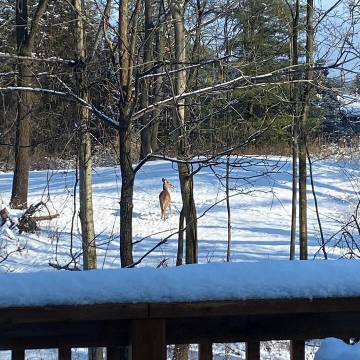 Photo of Buildings in Rockport
