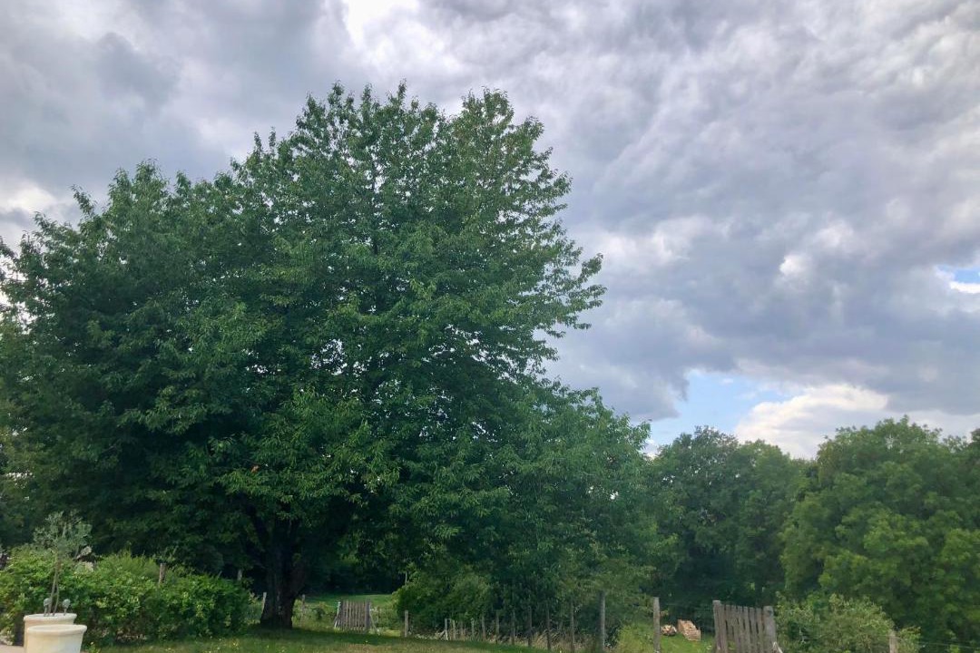 Photo of Others in Saint-Barbant