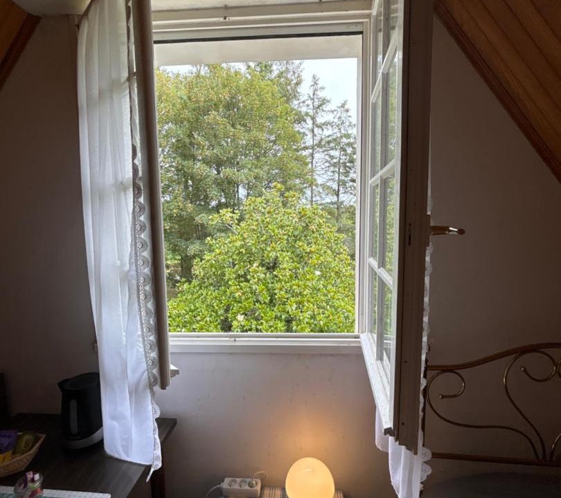 Photo of Others in Plogoff