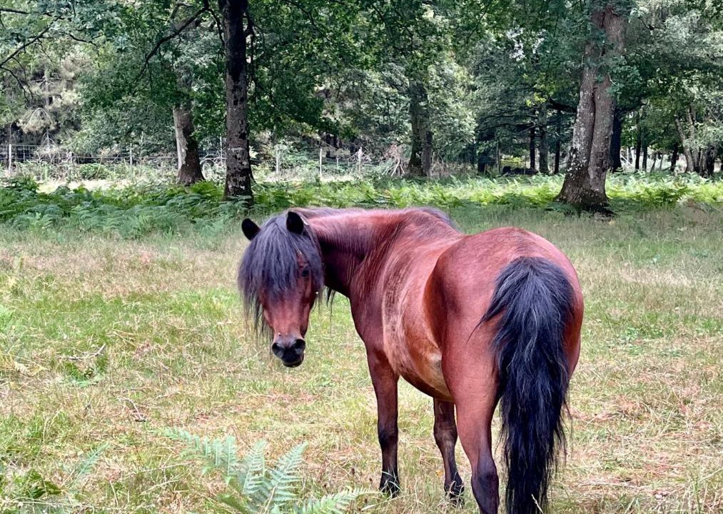 Photo of Others in Chanteloup