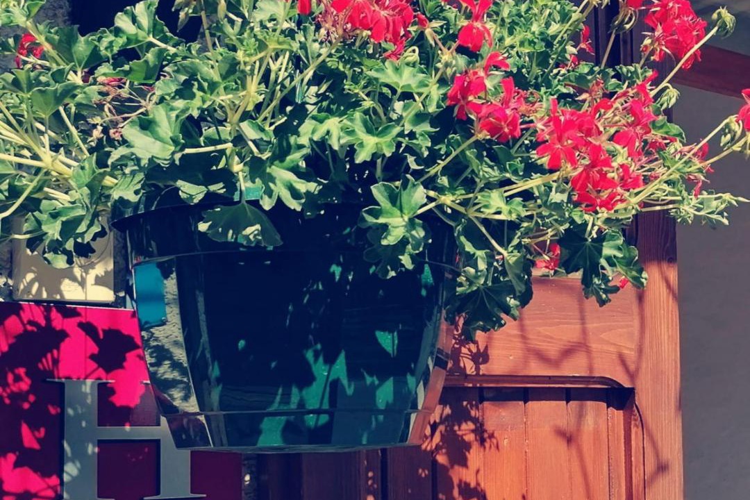 Photo of Others in Vars