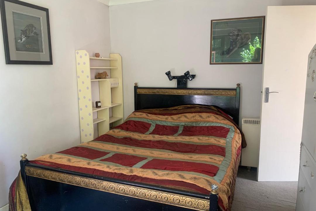 Photo of Others in Wool