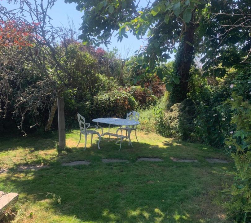 Photo of Others in Wool