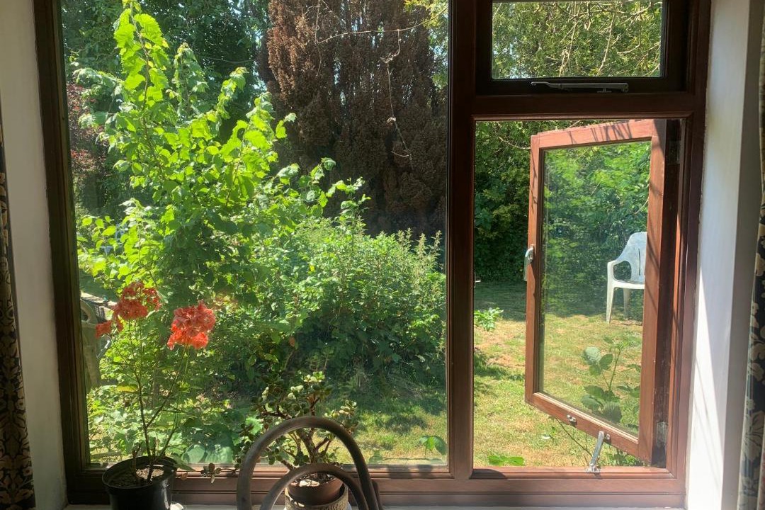 Photo of Others in Wool